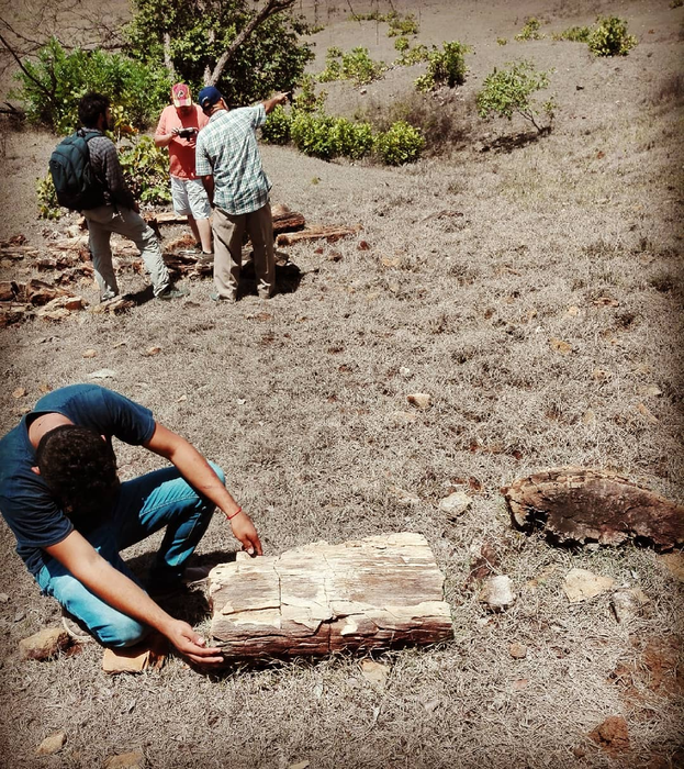 Boquerones farm