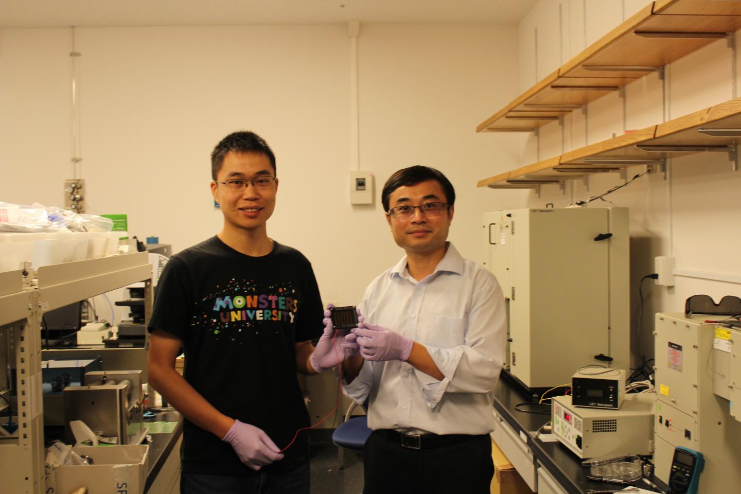 Perovskite Solar Module