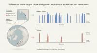 Differences in the Degree of Parallel Genetic Evolution Figure