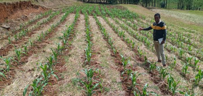 In Ethiopia, understanding soil is key to climate adaptation