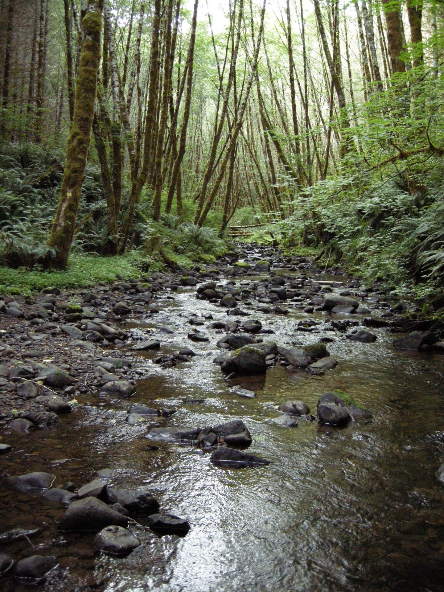 Rock Creek, Oregon