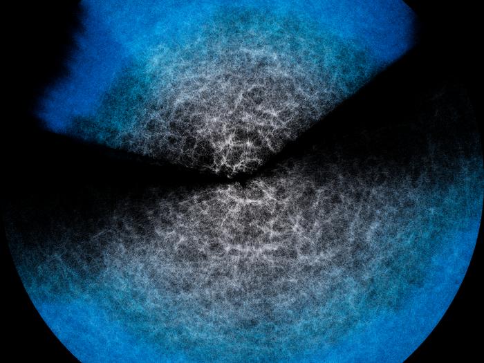The large-scale structure of the Universe as seen by DESI (DESI year-3 fan plot fulldome still)
