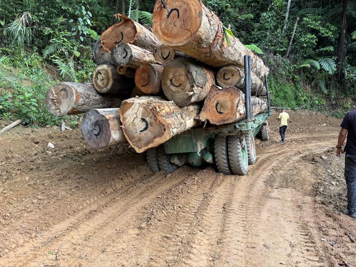 Logging truck in Malaysia