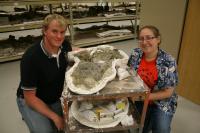 New Dino Unearthed