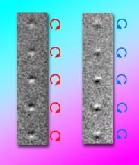 Reversal of Spin Circularity on Magnetic Nanodisk