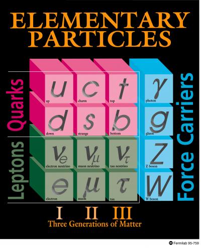 Standard model