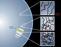 X-Ray Stripe Illustration