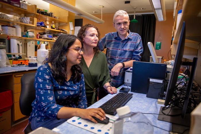 UPMC Hillman Cancer Center Researchers