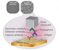 Plasmonic Detector Graphic