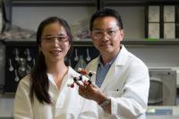 Li Chen and Michael Wong