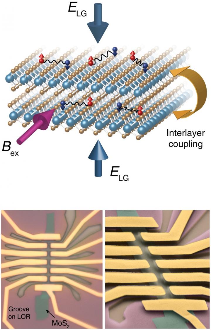 Double Layer Molybdenum Disulfide Device