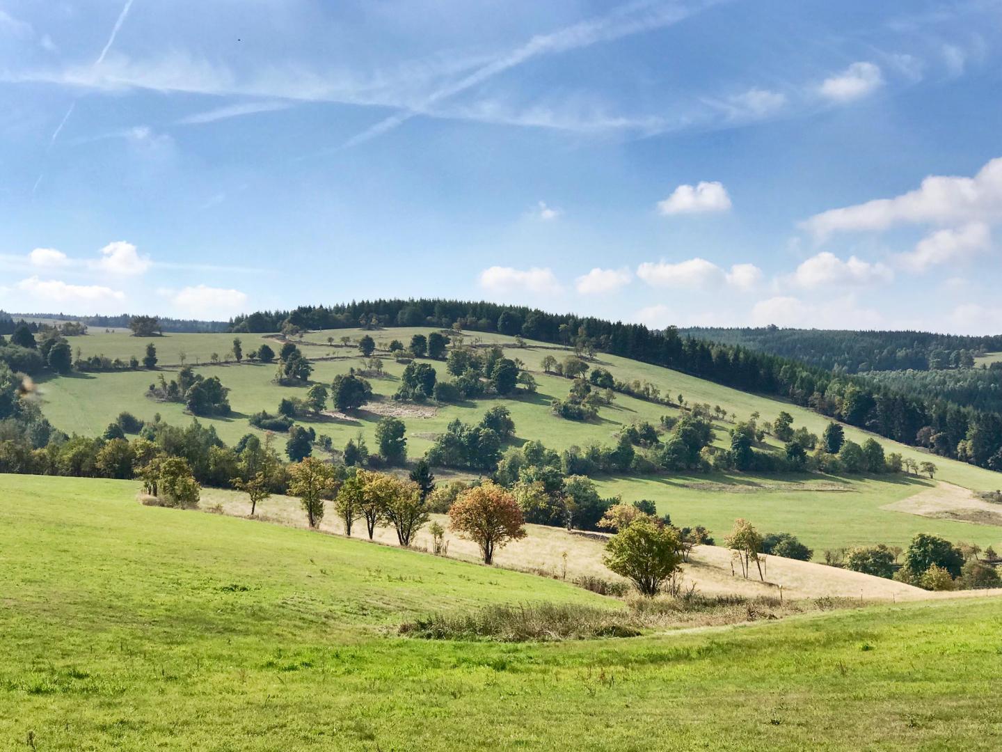 Erzgebirge
