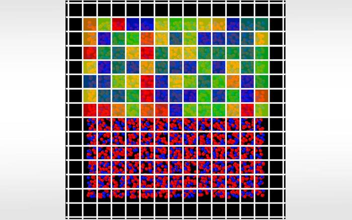 Spatial distribution of elastic heterogeneity in silica glass