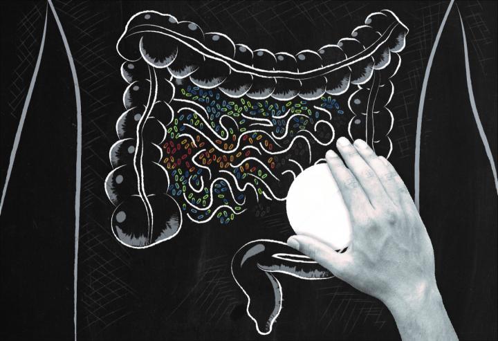 Gut Bacteria
