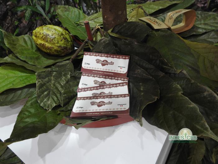 Genetic structure of traditional cacao reveals four new genetic lineages in indigenous Amazonian sites in Peru