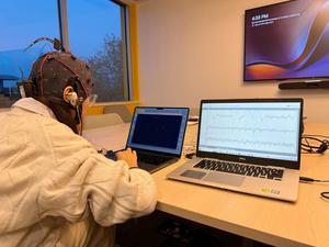 Dr Ting Dang in the lab.