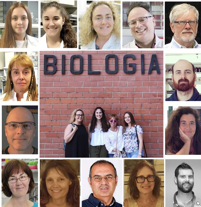 Descubierta la extraordinaria plasticidad del receptor de glucocorticoides
