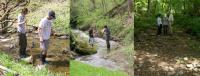 Field (and Stream) Work