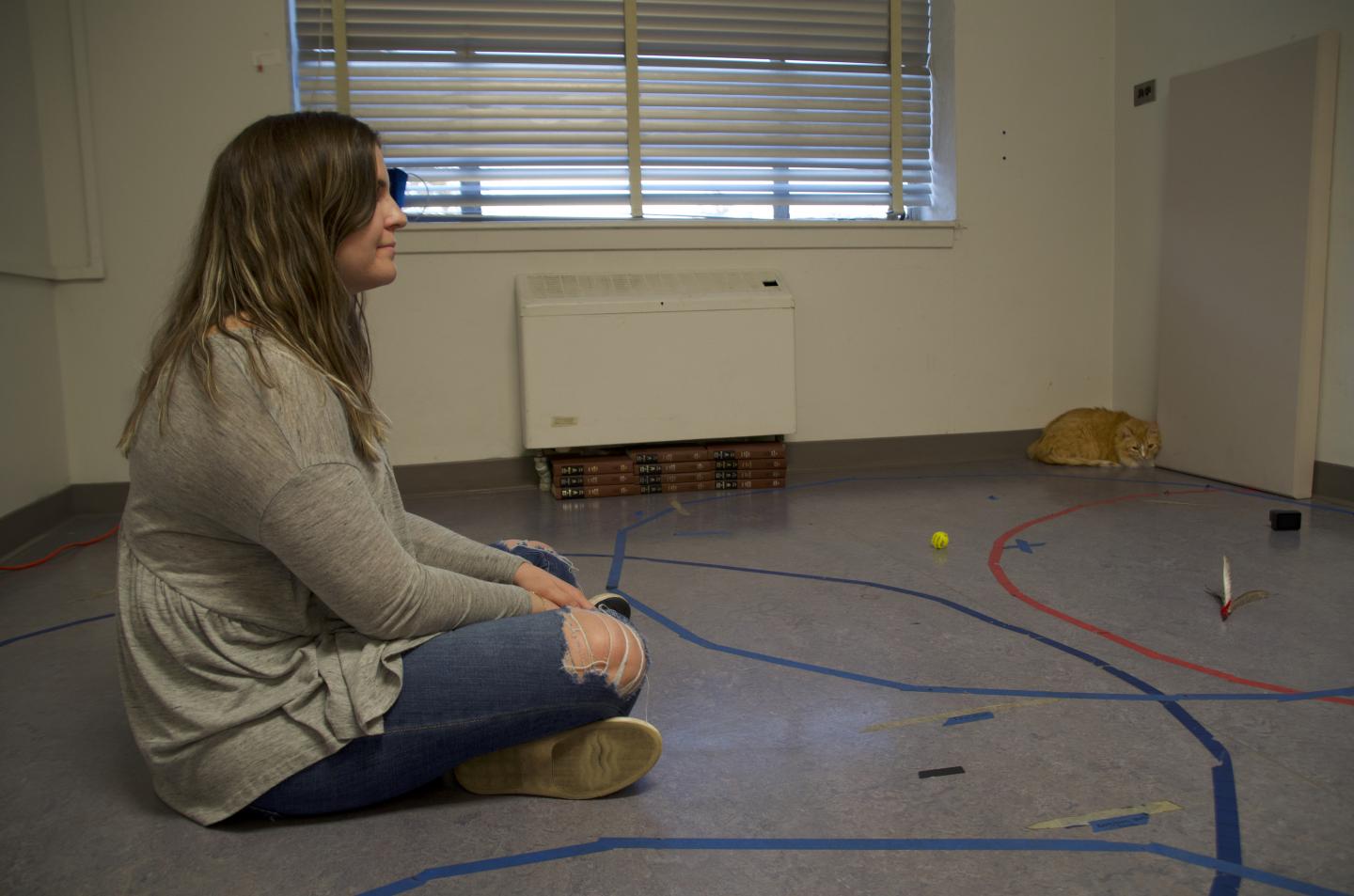 Cat with Insecure-Avoidant Style Attachment
