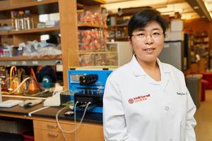 Shuibing Chen, Ph.D., Weill Cornell Medicine