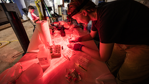 Preparing surface ocean samples using red light