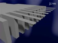 Nanomechanics of Drug-Target Interactions and Antibacterial Resistance Detection