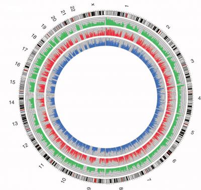 Genome Sequencing from the Womb (1 of 3)