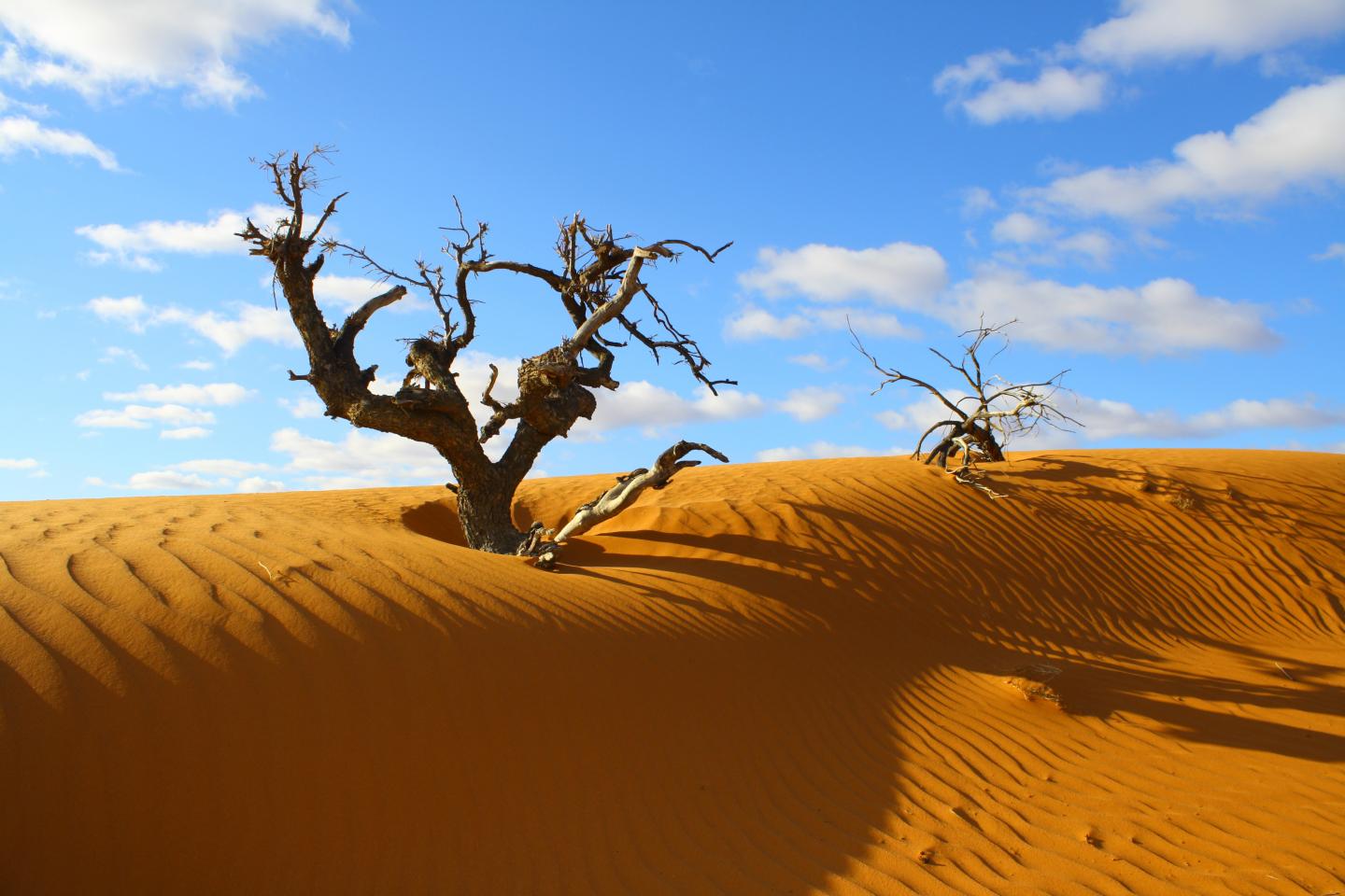 Drifting Sand