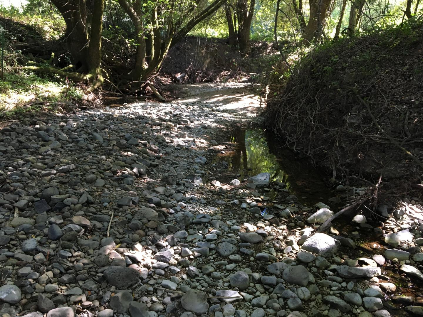 Drying Stream