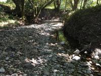 Drying Stream