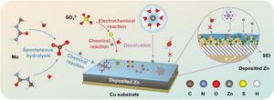 Formation pathway of the methylurea-induced SEI on zinc anodes