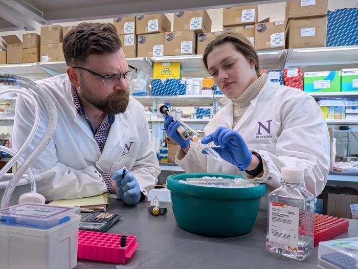 Study author BIllingham laying density gradient to isolate immune cells from brain tumors