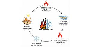PolyU research finds frequent Arctic wildfires could cut snow cover by 18 days, impacting global climate and ecology