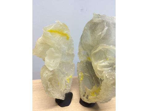3-D Printed Heart