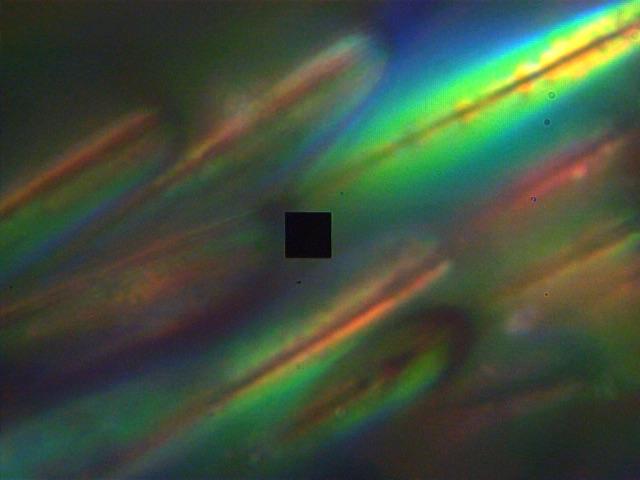 Observed Microscopic Color Patterns
