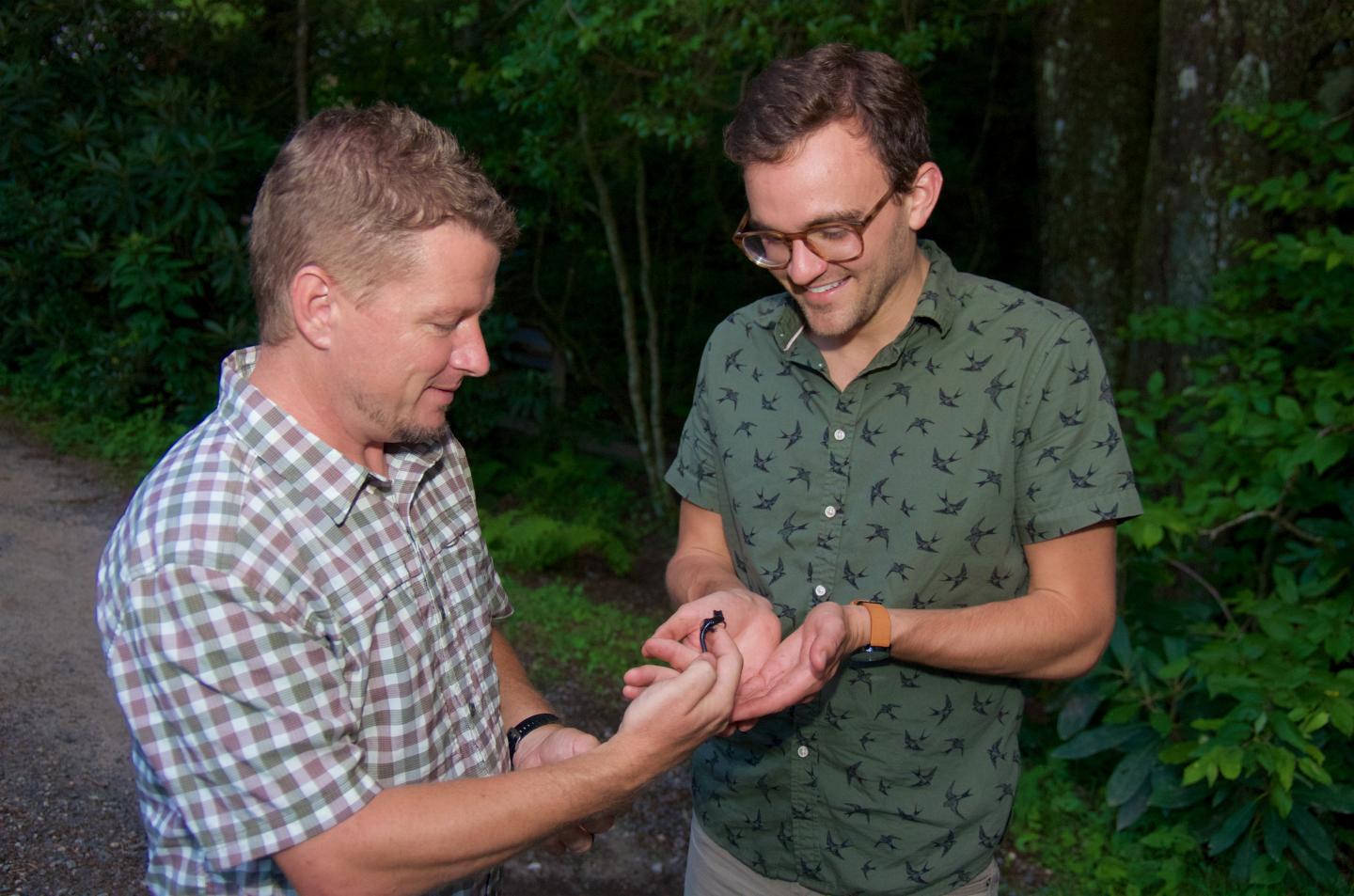 Clemson Scientists