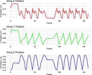 Wing-tip displacement over the course of the animation sequence, tracked from the tip of the terminal phalanx