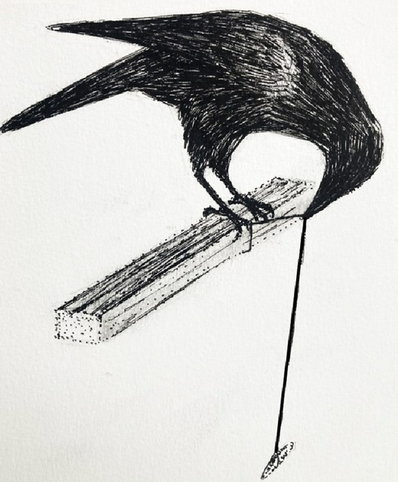 String-pulling tests to assess problem-solving in birds