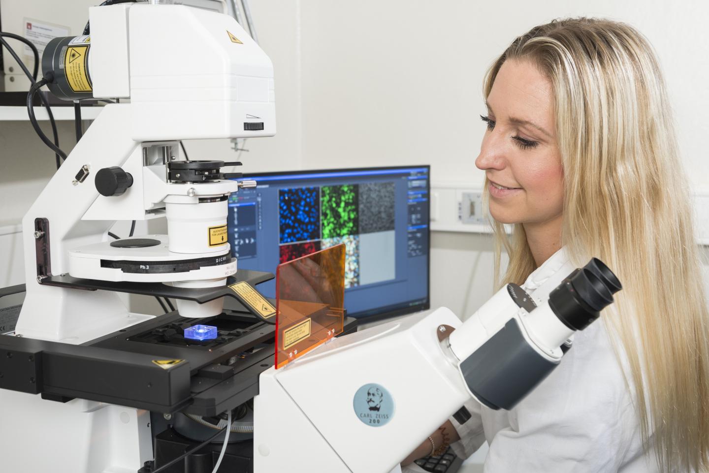 Sustainable Joint Use of Data from Many Laboratories Is the Goal of the Momaf Science Data Center