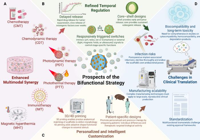Fig. 3. Future trends of bifunctional biomaterials in postoperative osteosarcoma therapy.
