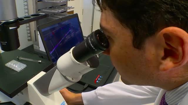 Kidney Organoids in Renal Disease Study