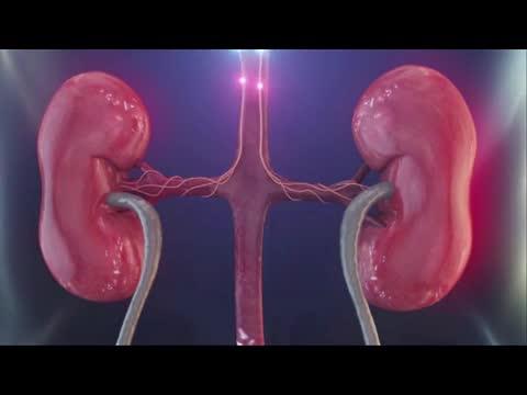 New Clinical Trial for Hypertension