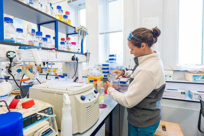 Processing in the lab