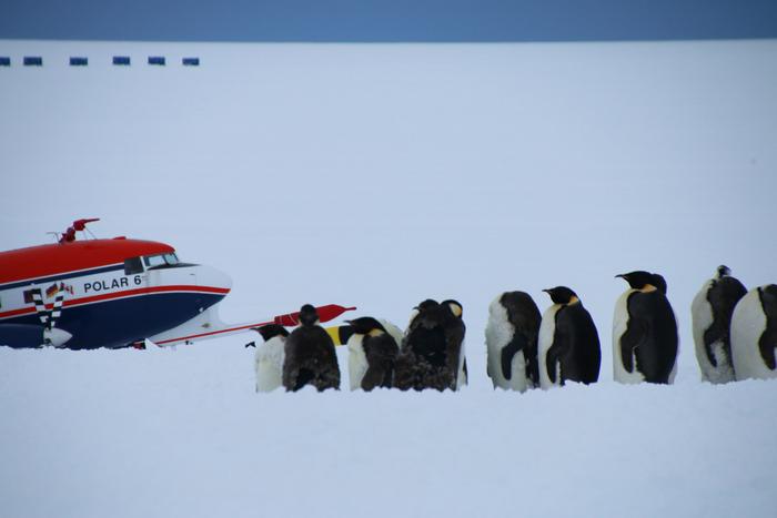 The SANAT flight campaign investigated the origin and transport of aerosols in the Antarctic atmosphere where clouds form - for the first time also far inland.