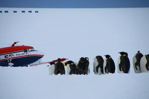 The SANAT flight campaign investigated the origin and transport of aerosols in the Antarctic atmosphere where clouds form - for the first time also far inland.