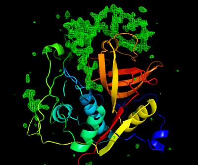 X-Ray Laser Pulses Reveal Key Parasite Enzyme (9 of 15)