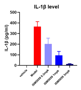 ISM5059 dose-dependently inhibited IL-1β release in the peritonitis model.
