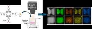 Light-driven synthesis of hourglass-shaped metal–organic frameworks