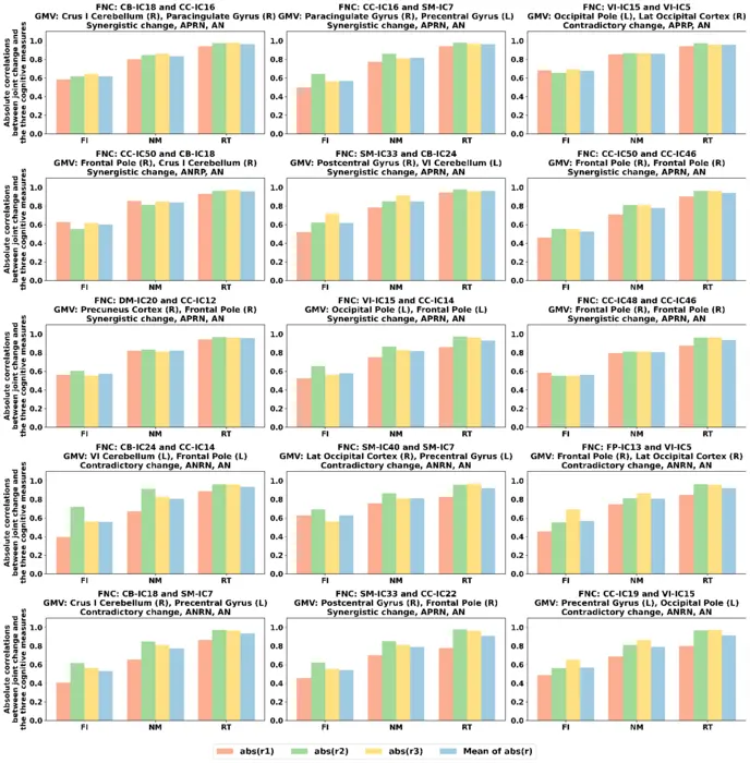 Fig. 4 | Absolute correlations between each joint change and the three cognitive measures.