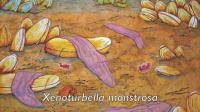 Extraordinary Deep-Sea Worm Species Discovered